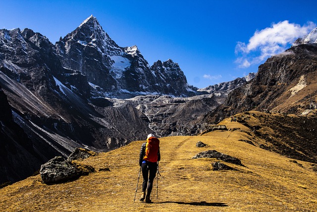 Embrace the Great Outdoors: The Joy of Hiking